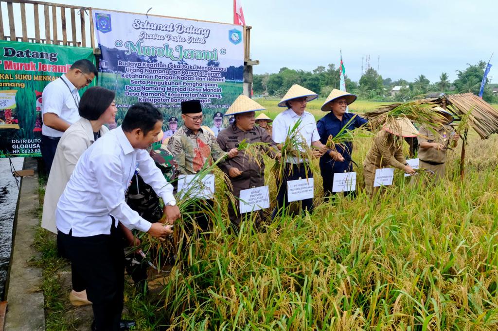 Dorong Kemandirian Desa, PLN Bantu Bibit Padi dan Pemanfaatan FABA untuk Pupuk di Bangka Tengah