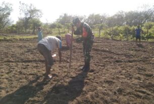 Genjot Produksi Kacang Tanah, Babinsa Posramil 05Pante Ceureumen Komit Bantu Petani Di Wilayah