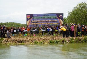 Kunker Ke Cilacap, Pangdam IV Diponegoro Tanam Pohon Mangrove di Desa Tritih Lor