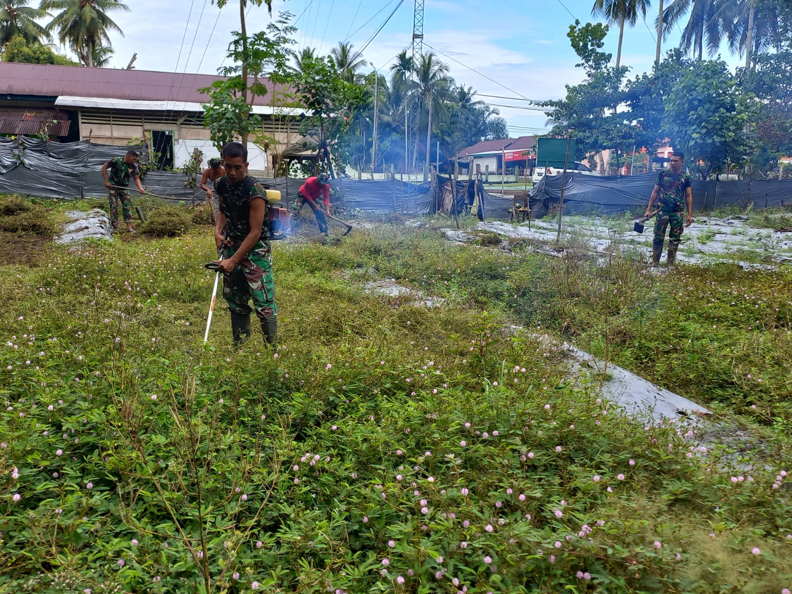 Manfaatkan waktu luang, Anggota Koramil 08/Arongan Lambalek Membersihkan lahan kosong di belakang Makoramil.