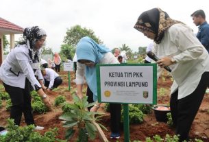 Pemprov Lampung Ikuti Penanaman 1000 Pohon Buah Secara Serentak