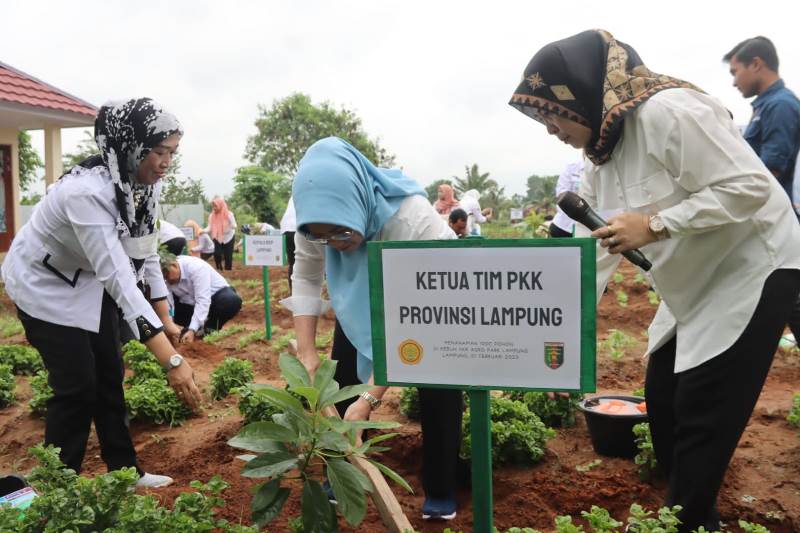 Pemprov Lampung Ikuti Penanaman 1000 Pohon Buah Secara Serentak