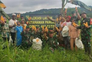 Tindak Lanjuti Perintah Kasad, Lagi-Lagi Koramil Jajaran Kodim 0410/KBL Panen Jagung