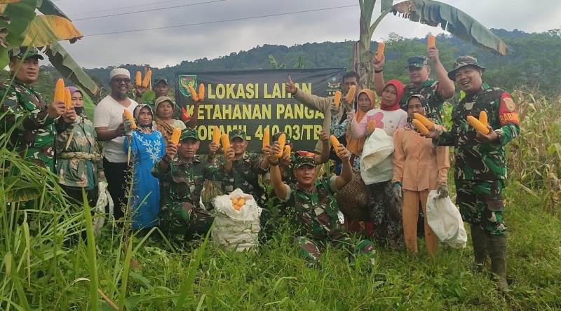 Tindak Lanjuti Perintah Kasad, Lagi-Lagi Koramil Jajaran Kodim 0410/KBL Panen Jagung