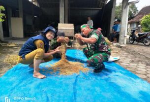 Dukung Ketahanan Pangan, Babinsa Bersama PPL Distan Nogosari Laksanakan Pengubinan