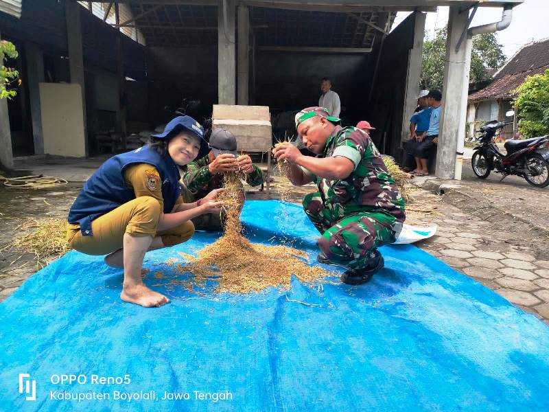 Dukung Ketahanan Pangan, Babinsa Bersama PPL Distan Nogosari Laksanakan Pengubinan