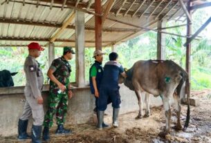 Babinsa Posramil Sekar Bojonegoro Dampingi Vaksinasi Hewan Ternak