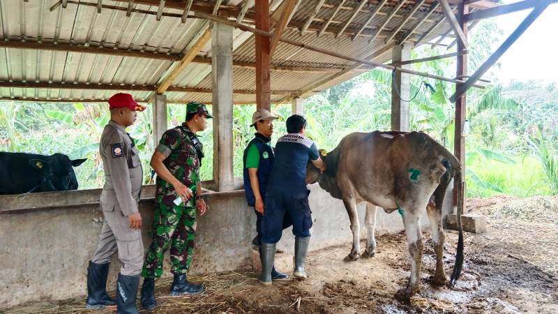 Babinsa Posramil Sekar Bojonegoro Dampingi Vaksinasi Hewan Ternak