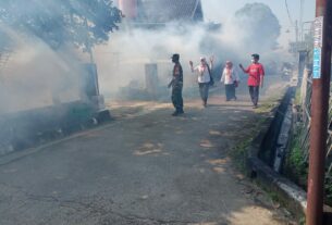 Basmi Sarang Nyamuk, Babinsa Dampingi Kegiatan Fogging