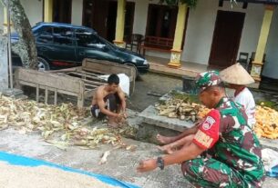 Dukung Ketahanan Pangan, Babinsa Bantu dan Memonitor Hasil Panen