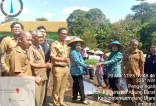 Dukung program Pemkab Lampura, Desa Pengaringan Ikut lomba Demplot Tanam Cabai