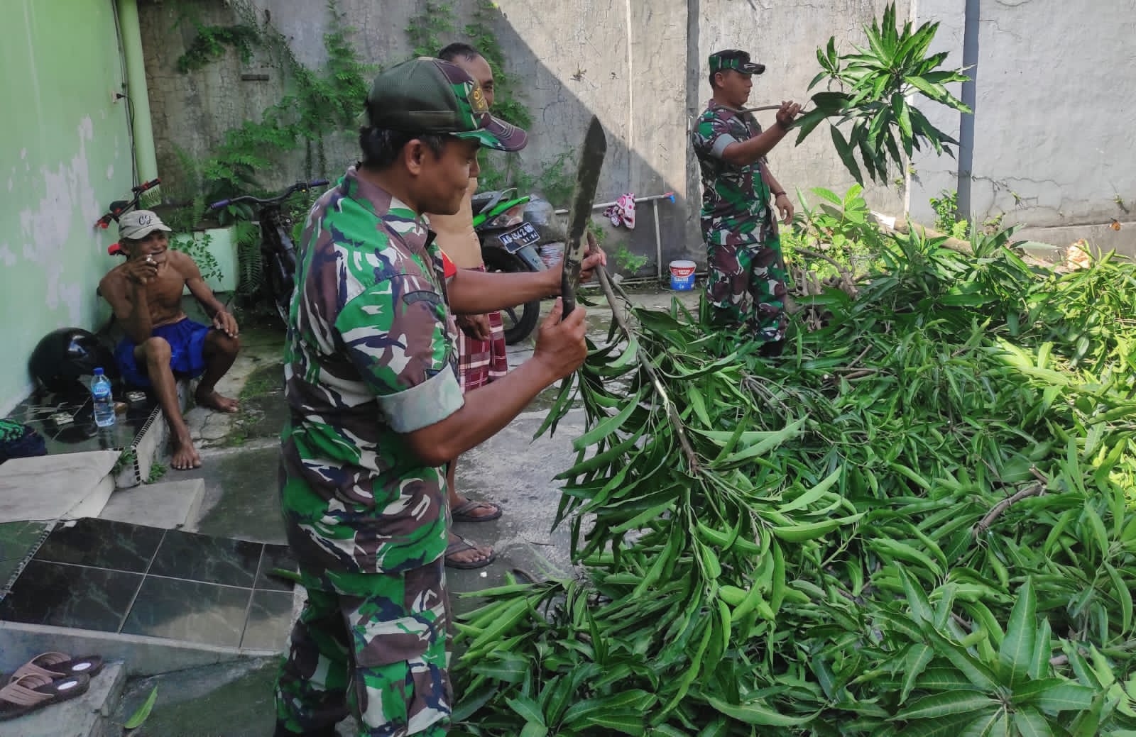 Sayuk Rukun Penuh Kekompakan Babinsa Bantu Warga Tebang Pohon