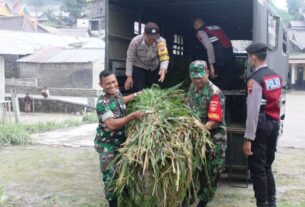 TNI-Polri Boyolali Ngarit Beri Pakan Ternak Warga Dampak Erupsi