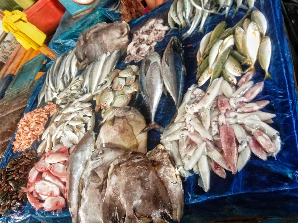 Tak Seindah Hasil Kekayaan Lautnya, Inilah Keadaan Pasar Gudang Lelang