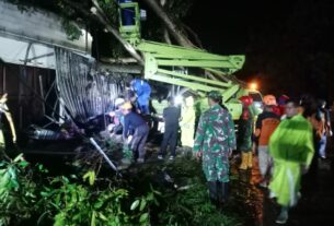 Tanggap Bencana, Babinsa Sambi Gotong Royong Singkirkan Pohon Tumbang