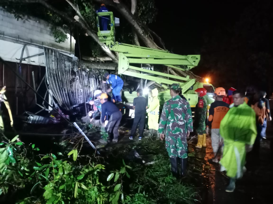 Tanggap Bencana, Babinsa Sambi Gotong Royong Singkirkan Pohon Tumbang