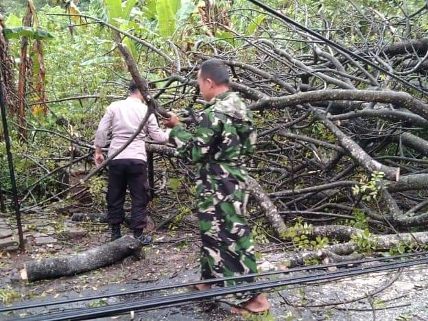 Babinsa dan Babinkamtibmas Evakuasi Pohon Tumbang