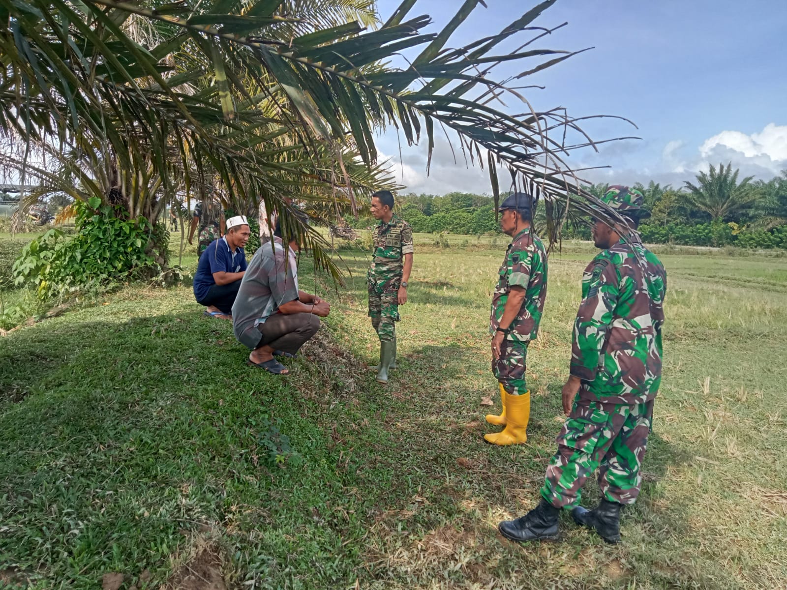 Dukung Program Ketahanan Pangan Jagong, Dandim 0105/Abar Tinjau Lahan Di Wilayah Kaway XVI