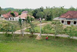 PLN Perluas Jaringan Distribusi, Warga Dusun Polay Situbondo Kini Teraliri Listrik PLN