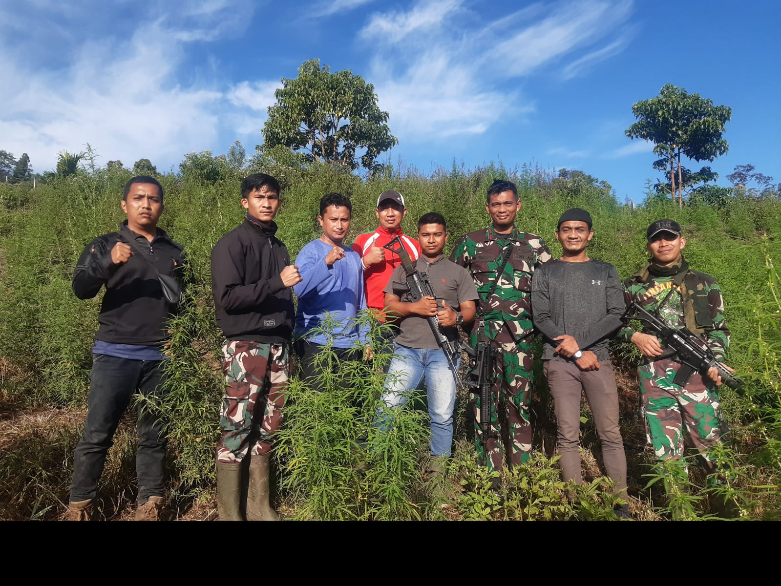 Personil Gabungan Korem 012/Teuku Umar berhasil menemukan Ladang Ganja 8,9 Hektar.