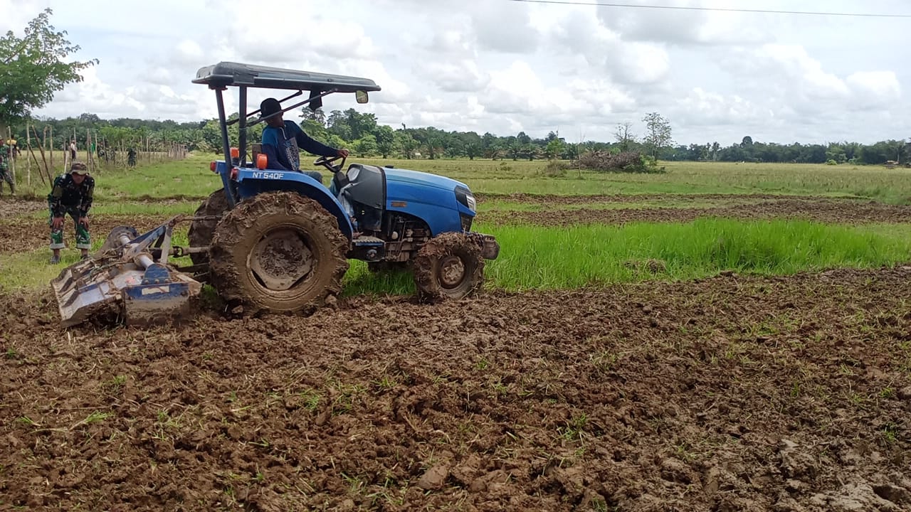 Semangat Prajurit Kodim 0105/Abar Membuat Pagar Kayu Di Lahan Yang Akan Ditanami Jagung