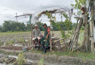 Serda Anang Sambangi Petani dengarkan kendala musim tanam di desa Kwarasan