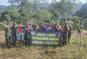 Tingkatkan Ketahanan Pangan Satuan Jajaran Kodim 0410/KBL Kembali Bertani Jagung