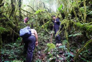 Peringati Hut ke 10 Pesibar Kibarkan Pataka di Puncak Gunung Pugung