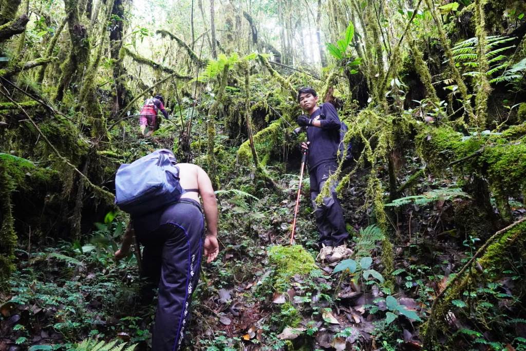 Peringati Hut ke 10 Pesibar Kibarkan Pataka di Puncak Gunung Pugung