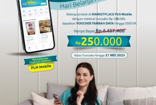 Promo Tambah Daya Harbelnas Sukses, Puluhan Ribu Order Banjiri UMKM di Marketplace PLN Mobile