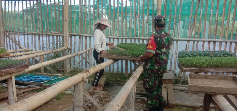 Sukseskan Ketahanan Pangan, Babinsa Komsos Denga Penjual Benih Sayur dan Tanaman