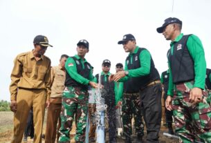 Peluncuran Program I'M Jagong oleh Pangdam Iskandar Muda sekaligus Tanam Perdana Jagung serentak di seluruh wilayah Aceh
