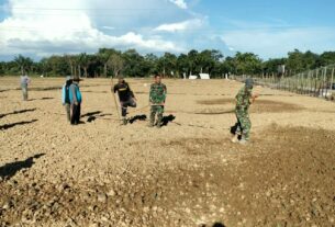 Agar Kuota Air Tercukupi, Tim Satgas I'M Jagong Kodim 0105/Abar Siram Tanaman Jagung Saban Hari