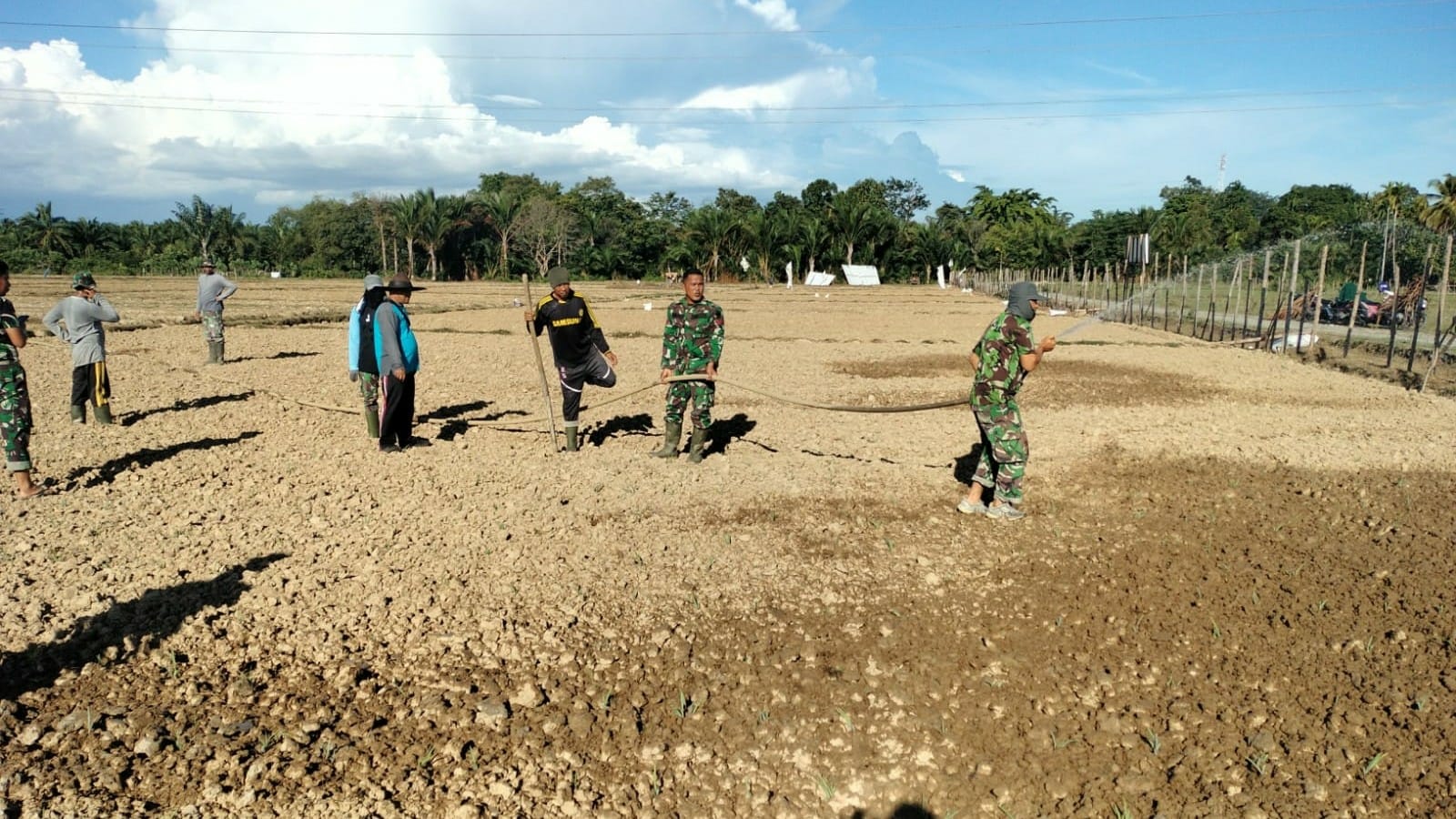 Agar Kuota Air Tercukupi, Tim Satgas I'M Jagong Kodim 0105/Abar Siram Tanaman Jagung Saban Hari