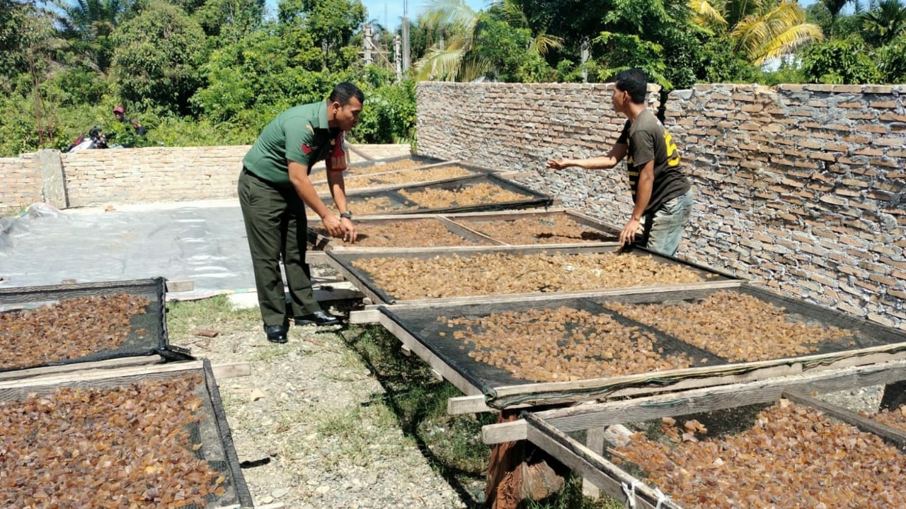 Campur Tangan Babinsa Koramil 04/Meureubo Bangkitkan Ekonomi Home Industry Pembuat Kerupuk Jangek