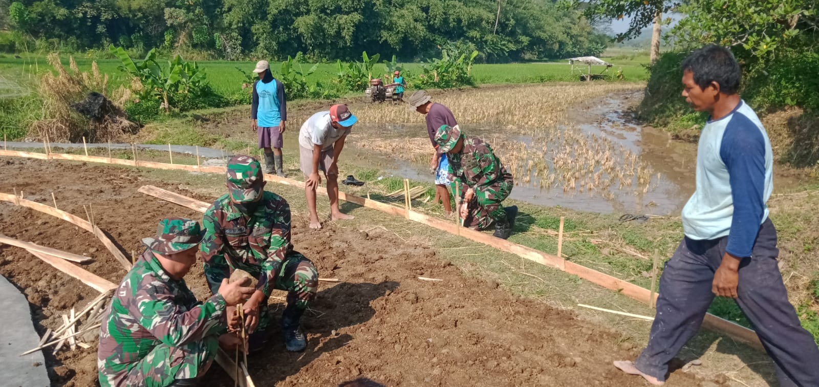 Permudah Angkut Hasil Tani, Babinsa Koramil Mojosongo Bantu Betonisasi Jalan Pertanian