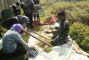 Tingkatkan Hasil Panen, Babinsa Kelurahan Banjarsari Bersama Dinas Pertanian Lakukan Giat Pengubinan