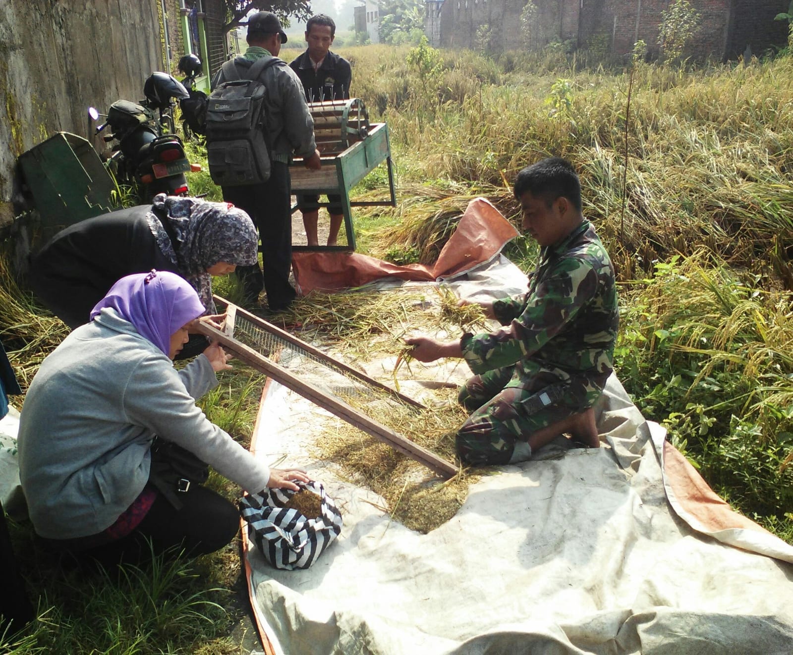 Tingkatkan Hasil Panen, Babinsa Kelurahan Banjarsari Bersama Dinas Pertanian Lakukan Giat Pengubinan