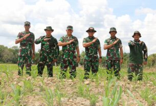 Dandim 0105/Abar Bersama Danrem 012/TU Dampingi Kapok Sahli Pangdam IM Tinjau Lahan Tanaman Jagung Program I'M Jagong