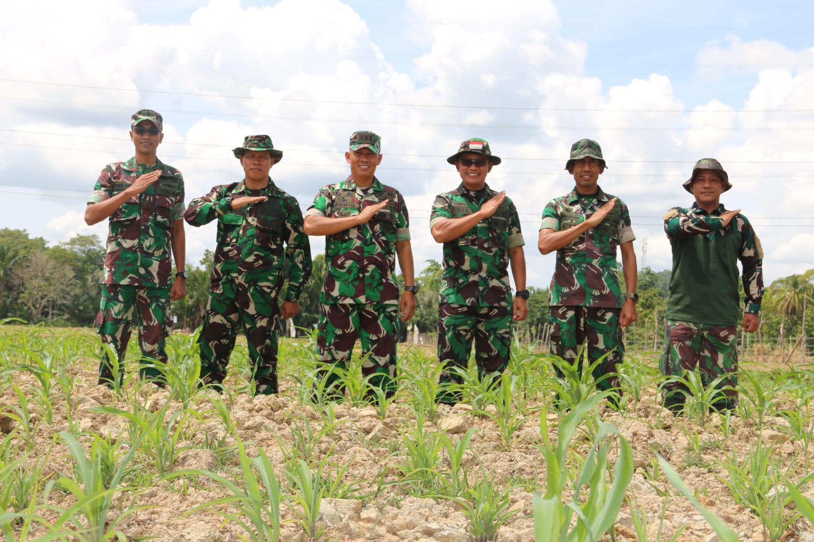 Dandim 0105/Abar Bersama Danrem 012/TU Dampingi Kapok Sahli Pangdam IM Tinjau Lahan Tanaman Jagung Program I'M Jagong