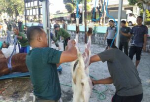 Wujud Rasa Syukur Hari Raya Idhul Adha, Kodim Boyolali Sembelih Hewan Kurban