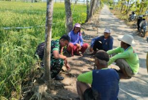 Babinsa Koramil 12 Bendosari aktif Komsos Sambangi Petani di Desa Mertan