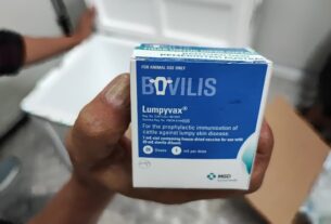 Kuota Vaksin LSD Tersedia, Pemprov Lampung Imbau Peternak Segera Vaksinasi