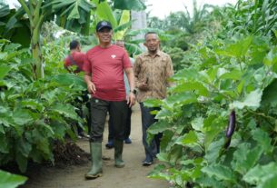 Rekomendasi Penanaman Vanili di Food Estate Korem 012/TU Dukung Ketahanan Pangan Menurut Manajer PT. Potensi Bumi Sakti (PBS) Arsari Group