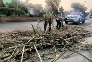 Aksi Terpuji Dua Anggota Lantas Lampura Pungut Batang Tebu Berserak Di Jalan