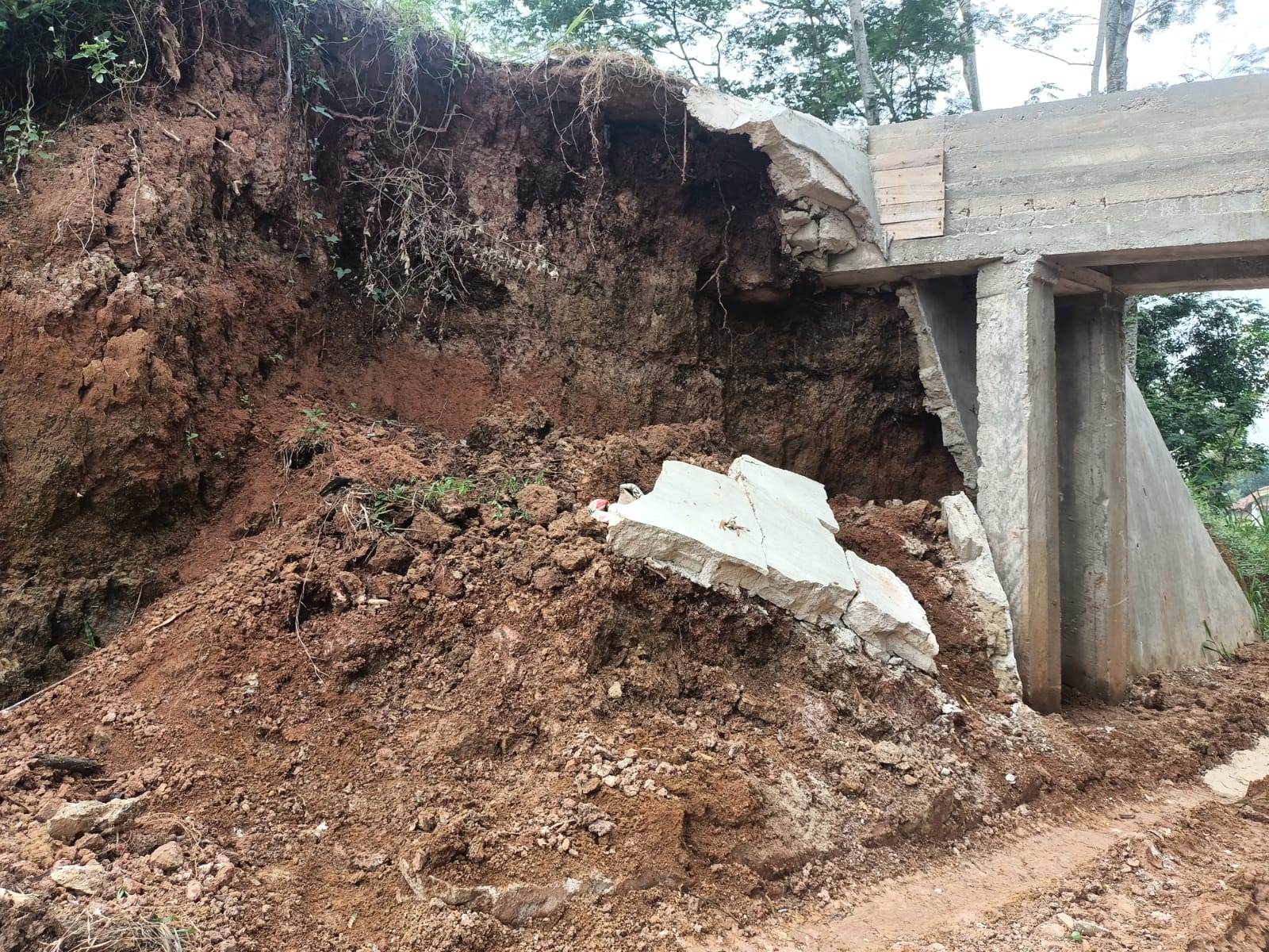 Buka Badan Jalan Usaha Tani,Tanggul Tersier Jadi Tumbal