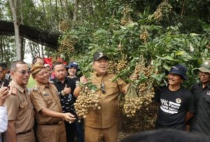 Gubernur Arinal Djunaidi Dorong Kabupaten Lampung Timur Sebagai Sentra Pengembangan Tanaman Kelengkeng