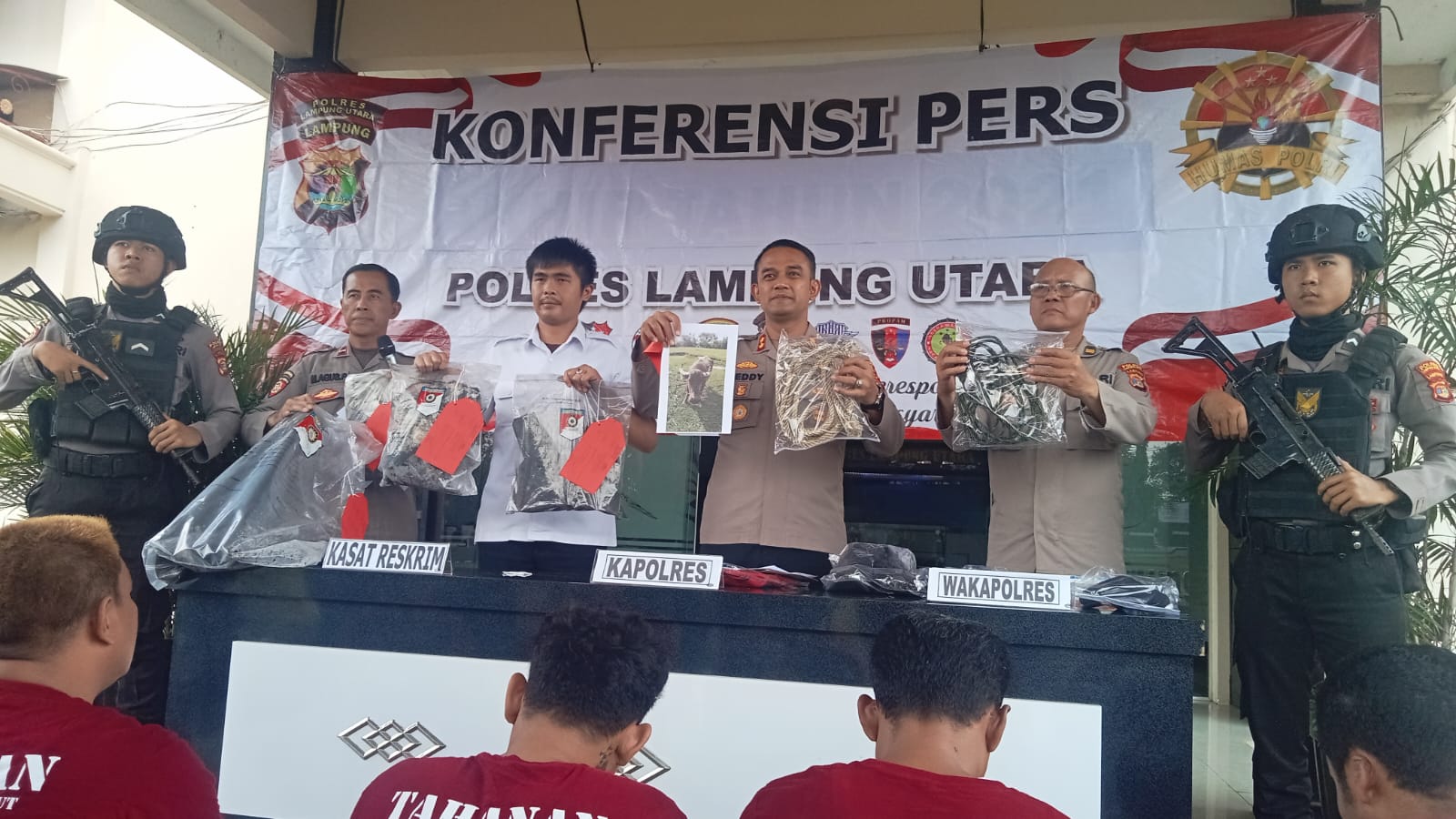 Polres Lampura berhasil menangkap pelaku pencurian kerbau