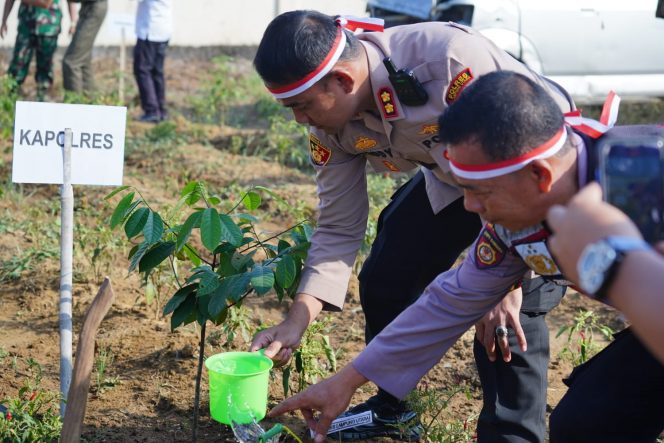 Polres Lampura galakkan penghijauan tanam 1.600 bibit pohon