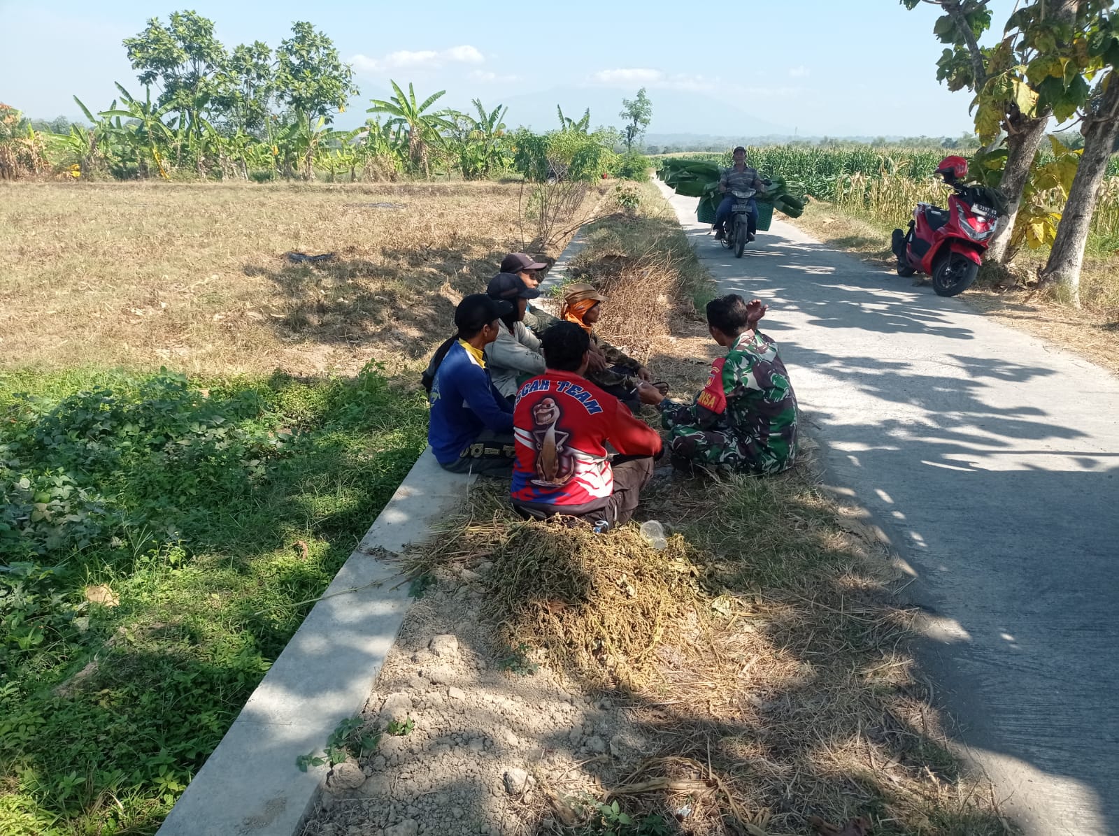 Sukseskan Ketahanan Pangan, Babinsa Komsos Dengan Petani Binaan